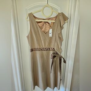 New York and Co, Size 8, Tan Dress